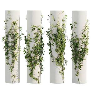 现代藤曼植物墙